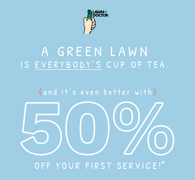50% off your first service!
