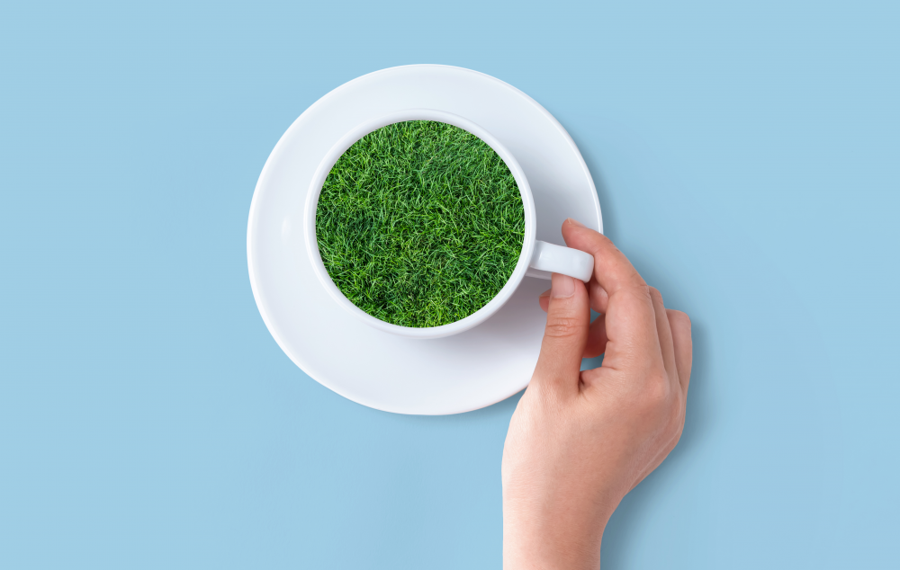 A cup of tea with a green lawn inside